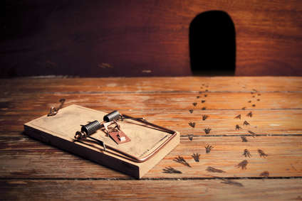 DIY Walk-the-Plank Mouse Trap