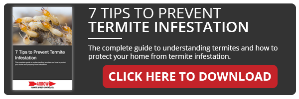 termite-tips-download-ebook-large
