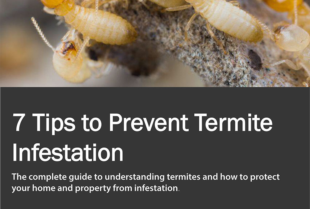 termitedamagetipsebook Arrow Termite and Pest Control