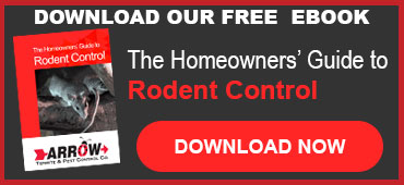 rodent-control-ebook-download-homepage