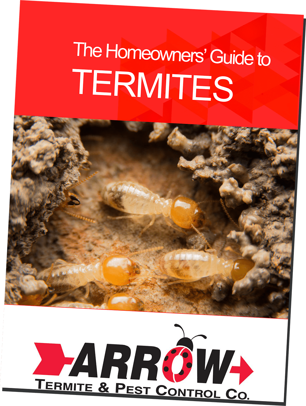 homeownerguidetermitesebookdownload Arrow Termite and Pest Control
