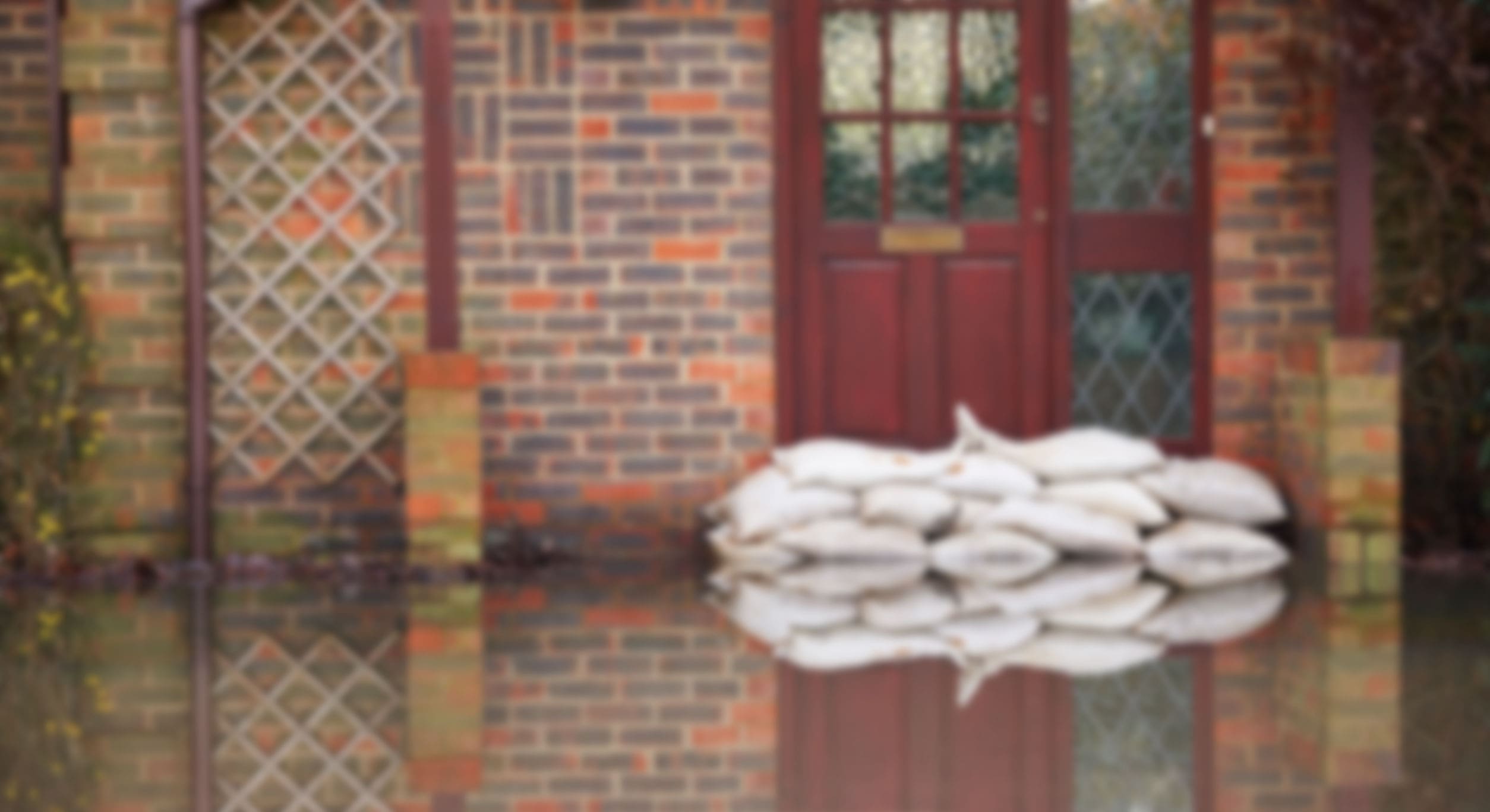 houstonflooddamagehome Arrow Termite and Pest Control