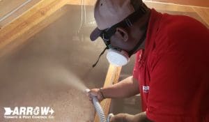 attic dusting treatment for pest control
