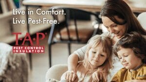 Tapping into Savings with TAP Attic Insulation and Pest Repellent