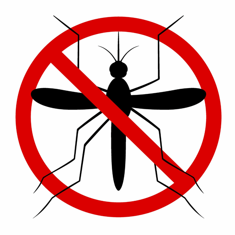 Make sure mosquitoes don't live long with Arrow Termite and Pest Control Baton Rouge