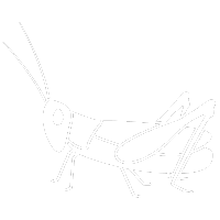 Cricket Pest Control