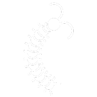 Millipede Pest Control