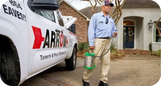 Rodent Repellant Treatment