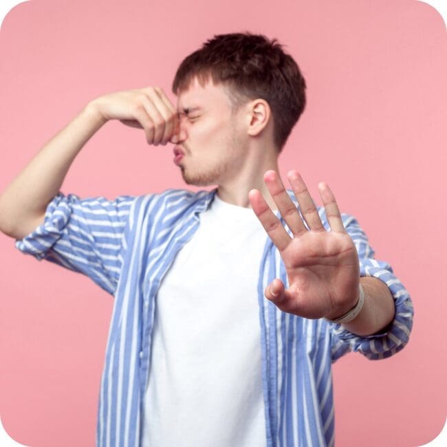 German Roach Smells Allergies