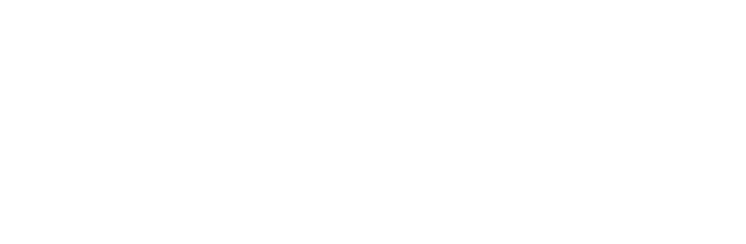 Arrow Termite & Pest Control