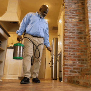 One Time Residential Pest Control Treatment