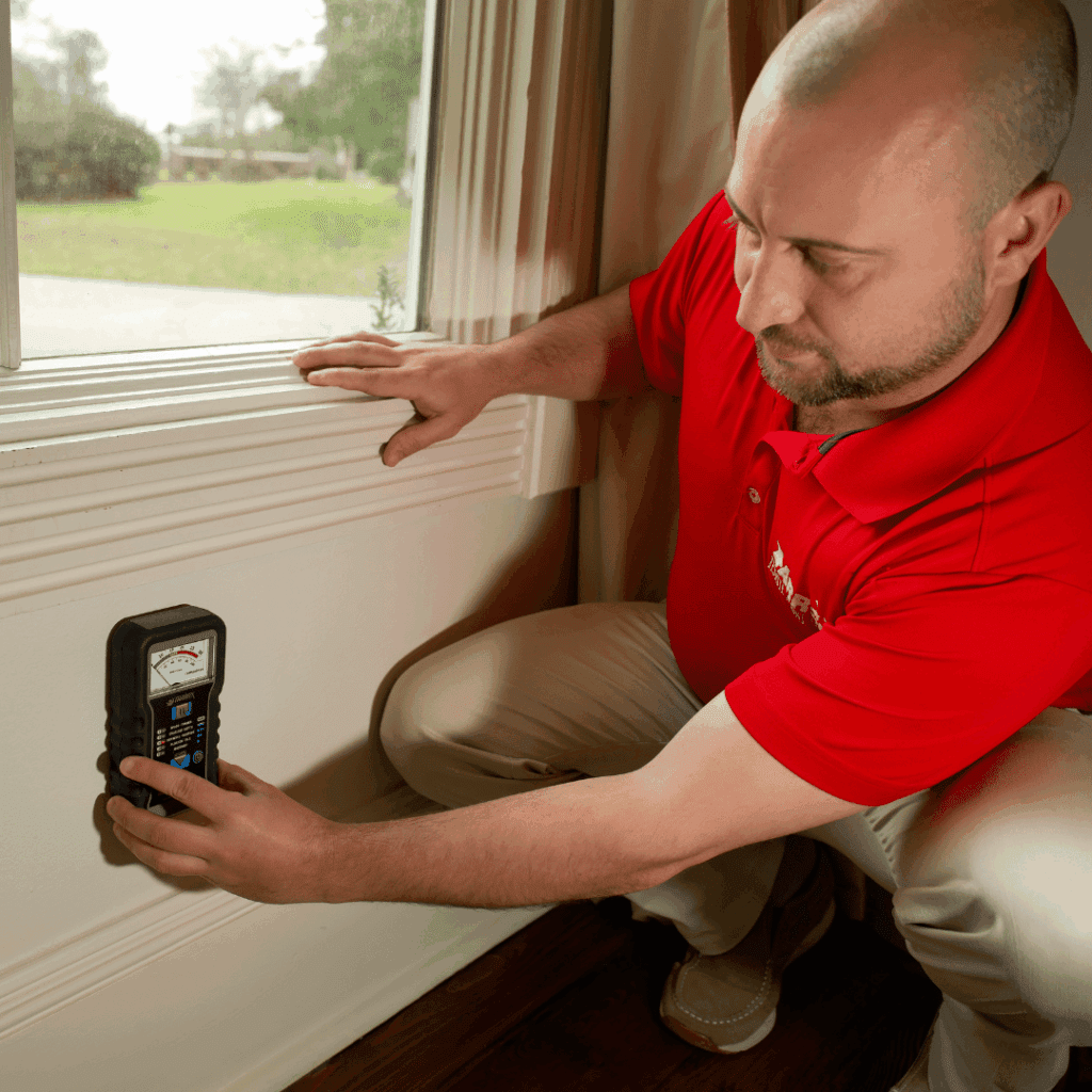 Wood Destroying Insect Report (WDIR)