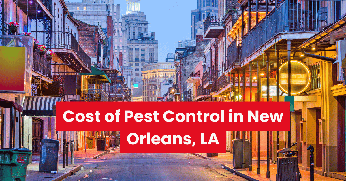 Cost of Pest Control in New Orleans LA