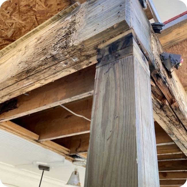 Termite Control 3 Damage Wood