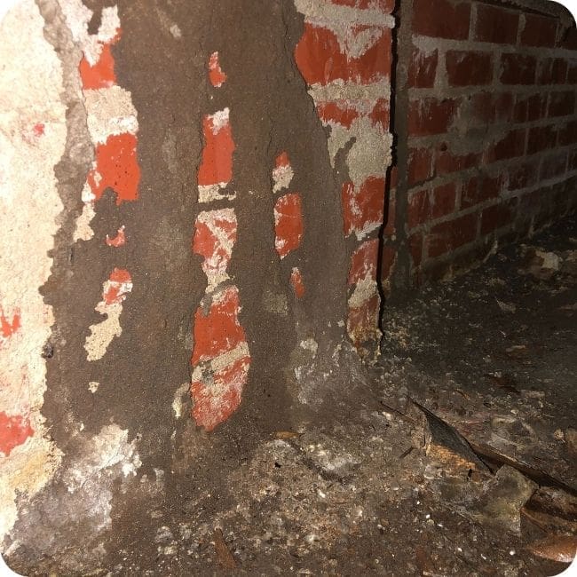 Termite Control 1 Termite Mud Tubes