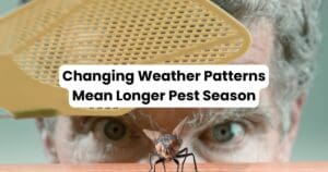 Changing Weather Patterns Mean Longer Summer Pest Seasons 3 Changing Weather Longer Pest Season