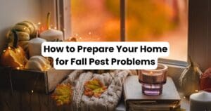 How to Prepare Your Home for Fall Pest Control Problems 2 How to Fall Pest Problems